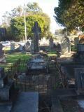 image of grave number 499704